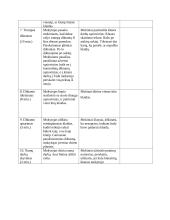 Ugdomoji pamoka 6 puslapis