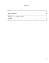 Vokietijos kultūrinis veidas 2 puslapis