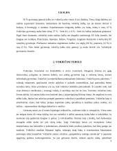 Vokietijos kultūrinis veidas 4 puslapis