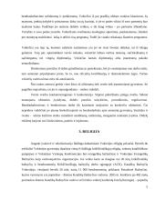 Vokietijos kultūrinis veidas 5 puslapis