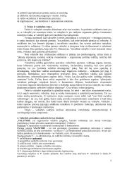 Teisės konspektas 2 puslapis