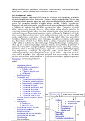 Teisės konspektas 19 puslapis