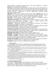 Teisės konspektas 6 puslapis