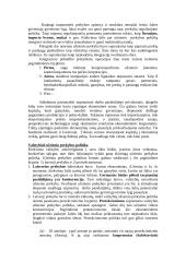 Tarptautinė prekyba. Konspektas 3 puslapis