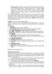 Tarptautinė prekyba. Konspektas 4 puslapis