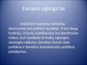 Europos sąjunga ir Lietuva 2 puslapis
