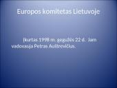 Europos sąjunga ir Lietuva 11 puslapis