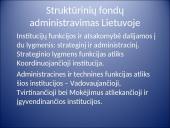 Europos sąjunga ir Lietuva 13 puslapis