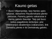 Lietuvos getai 9 puslapis