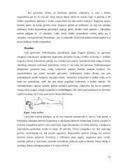 Pirmoji pagalba įvykus elektros traumai 13 puslapis