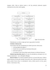 Pirmoji pagalba įvykus elektros traumai 10 puslapis