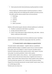 Visuotinė kokybės vadyba 16 puslapis