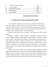 Verslo planas: pirčių kompleksas IĮ "Šaltupis" 11 puslapis