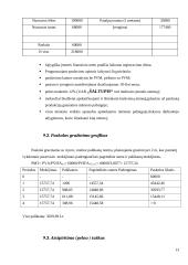 Verslo planas: pirčių kompleksas IĮ "Šaltupis" 13 puslapis