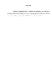 Pagrindiniai elgesio su žmonėmis principai 8 puslapis