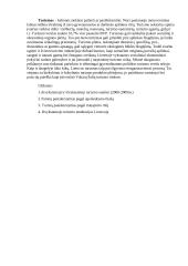 Lietuvos turizmo statistikos apžvalga 2 puslapis