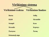 Virškinimo sistemos pagrindai 2 puslapis