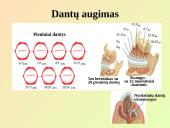 Virškinimo sistemos pagrindai 12 puslapis