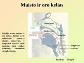 Virškinimo sistemos pagrindai 15 puslapis