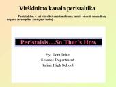 Virškinimo sistemos pagrindai 19 puslapis