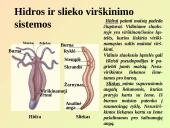 Virškinimo sistemos pagrindai 3 puslapis