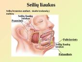 Virškinimo sistemos pagrindai 9 puslapis