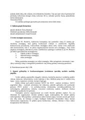 Palnuojamas verslo planas UAB „Gyvenk sveikai“ 4 puslapis