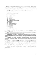 Palnuojamas verslo planas UAB „Gyvenk sveikai“ 7 puslapis
