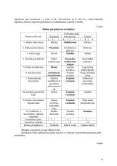 Palnuojamas verslo planas UAB „Gyvenk sveikai“ 10 puslapis