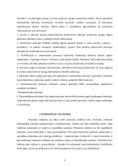 Personalo vadybos pagrindai 4 puslapis