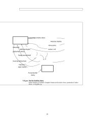 Makroekonomikos pagrindai 14 puslapis