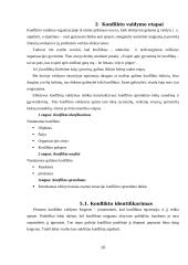 Konfliktų valdymo samprata 10 puslapis