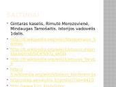 Nuo Vilniaus konferencijos iki Steigiamojo seimo 18 puslapis