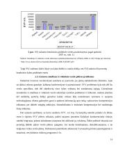 Smulkaus ir vidutinio verslo plėtra 14 puslapis