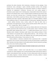 Smulkaus ir vidutinio verslo plėtra 18 puslapis