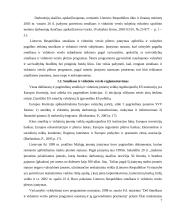 Smulkaus ir vidutinio verslo plėtra 7 puslapis