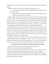 Smulkaus ir vidutinio verslo plėtra 8 puslapis