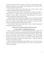 Smulkaus ir vidutinio verslo plėtra 9 puslapis