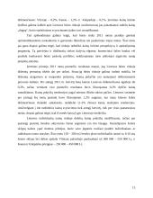 Nekilnojamo turto vertė 13 puslapis