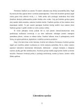Produkcijos pardavimo franšizės sutartis 11 puslapis