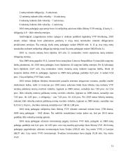 Vyriausybės vertybinių popierių rinka ir jos plėtojimas Lietuvos sąlygomis 12 puslapis