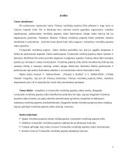 Vyriausybės vertybinių popierių rinka ir jos plėtojimas Lietuvos sąlygomis 3 puslapis