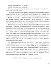 Vyriausybės vertybinių popierių rinka ir jos plėtojimas Lietuvos sąlygomis 10 puslapis