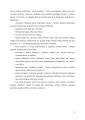 Idėja, kurią norėčiau įgyvendinti“ 6 puslapis