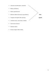 Neverbalinio bendravimo būdai 13 puslapis