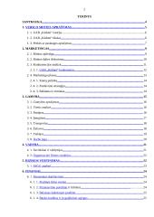 UAB "Kėdutė" verslo planas 2 puslapis