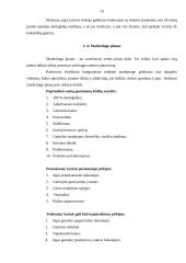 UAB "Kėdutė" verslo planas 13 puslapis