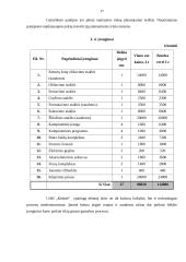 UAB "Kėdutė" verslo planas 17 puslapis