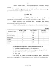 UAB "Kėdutė" verslo planas 20 puslapis