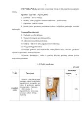 UAB "Kėdutė" verslo planas 7 puslapis